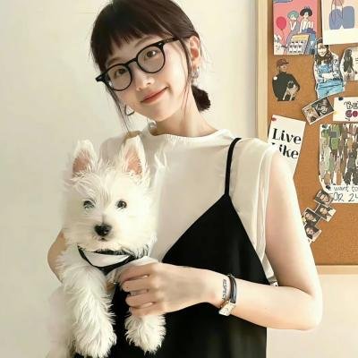 校园风暴